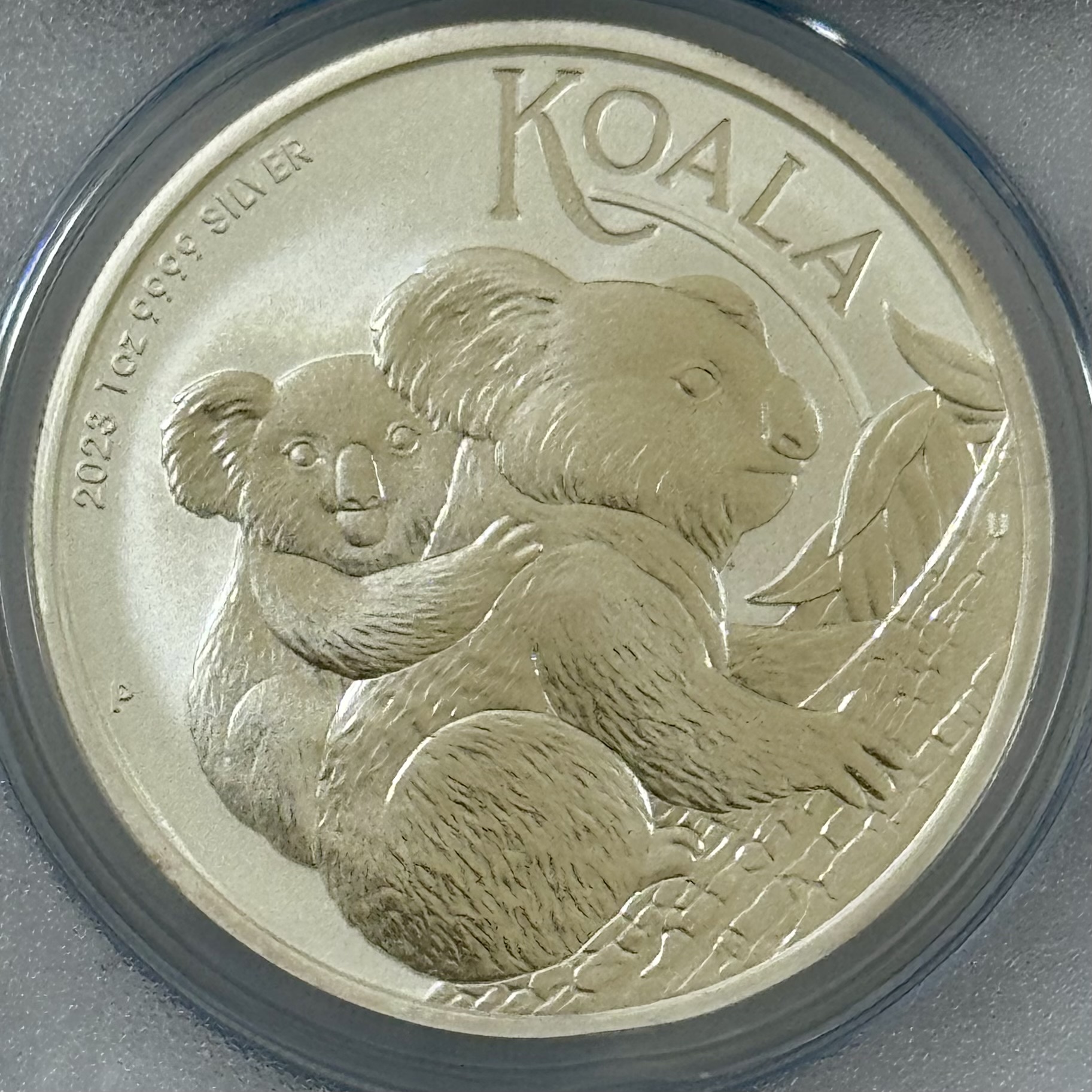 【完売】ACCA 最高鑑定MS70 オーストラリア2023年 コアラ1oz1ドル銀貨